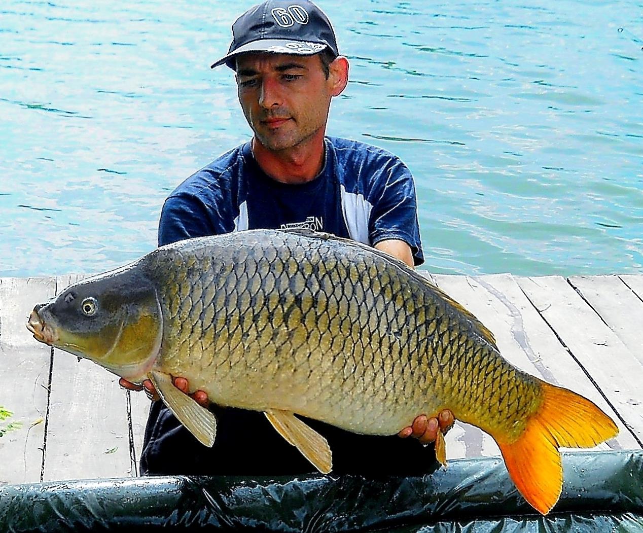 Palici - img6016-1146-kg.jpg